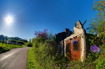 Retraite au soleil_5610837612_l.jpg